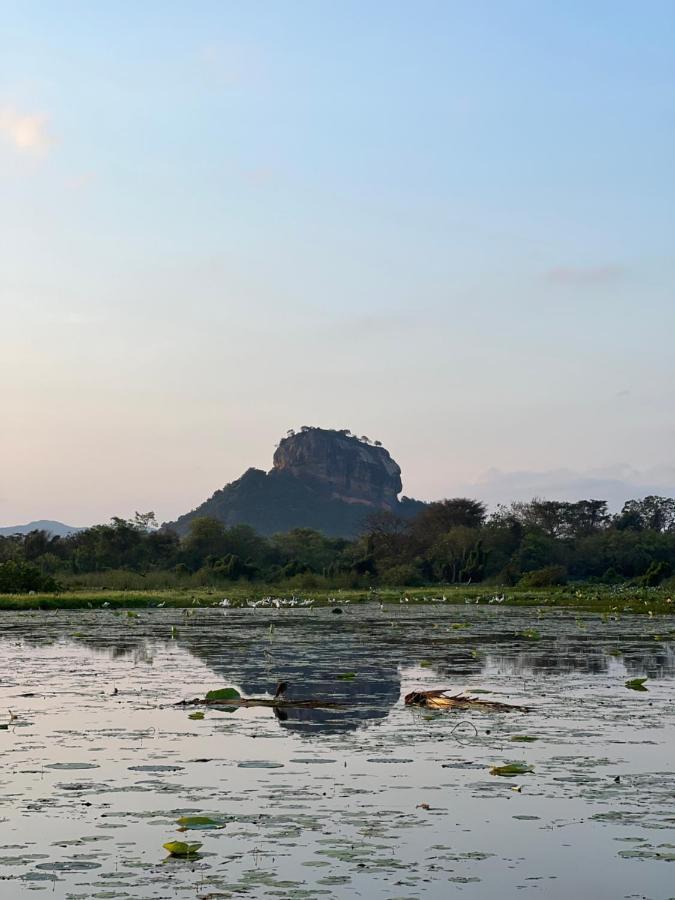 Gold Crown Residence Dambulla Exteriér fotografie