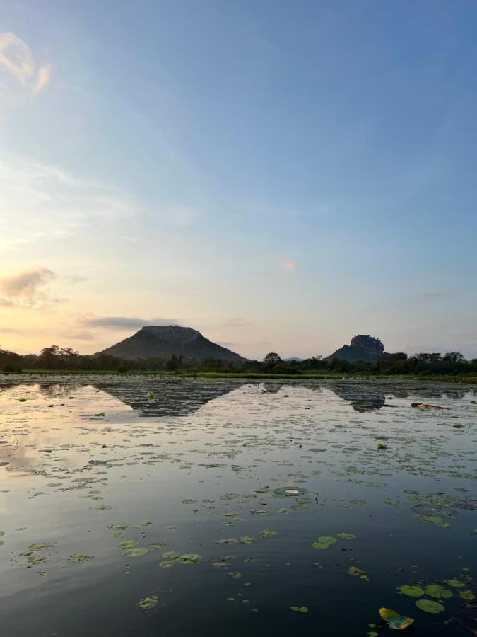 Gold Crown Residence Dambulla Exteriér fotografie